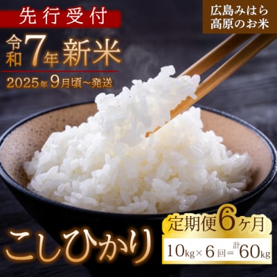 【先行受付】■6か月定期便■ 令和7年新米 コシヒカリ 白米10kg [220-008]