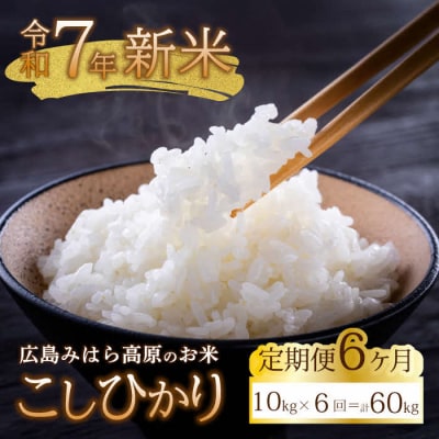 【令和7年新米】みはら高原米 浮城《6か月定期便》コシヒカリ 白米10kg [220-008]