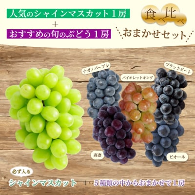 【先行受付】農園自慢のぶどうを食べくらべ♪シャインマスカット1房おまかせぶどう1房[202-006]