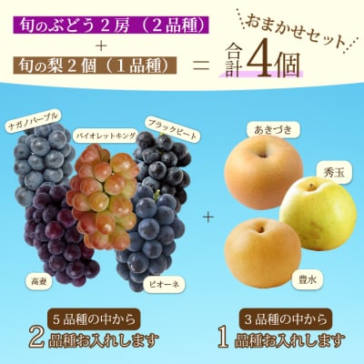 【先行受付】ぶどう2房と梨2個詰め合わせ 2026年9月下旬発送予定 [202-008]
