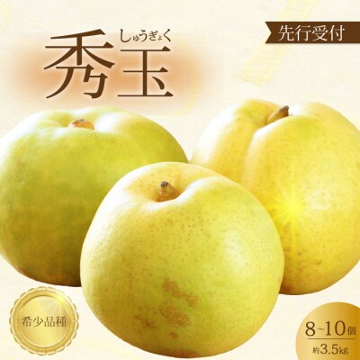 【先行受付】希少品種!秀玉 梨 3.5kg 2026年9月中旬発送予定 [202-016]