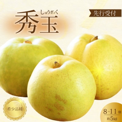 【先行受付】希少品種!秀玉 梨 5kg 2026年9月中旬発送予定 [202-017]