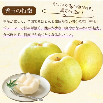 【先行受付】希少品種!秀玉 梨 5kg 2026年9月中旬発送予定 [202-017]