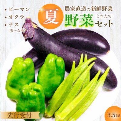 【先行受付】みのる農園 農家直送!夏野菜セット(ナス、ピーマン、オクラ)3.5kg[206-002]