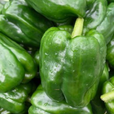 【先行受付】みのる農園 農家直送!夏野菜セット(ナス、ピーマン、オクラ)3.5kg[206-002]