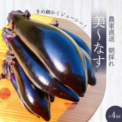 【先行受付】みのる農園 農家直送!朝採れ 美～なす 4kg [206-005]
