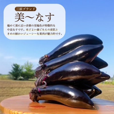 【先行受付】みのる農園 農家直送!朝採れ 美～なす 4kg [206-005]