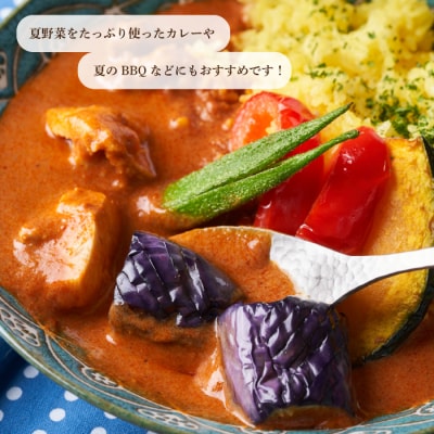 【先行受付】みのる農園 農家直送!朝採れ 美～なす 4kg [206-005]