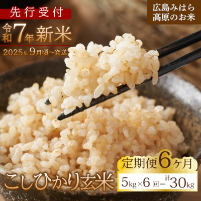 【先行受付】■6か月定期便■ 令和7年新米 コシヒカリ玄米5kg [220-010]