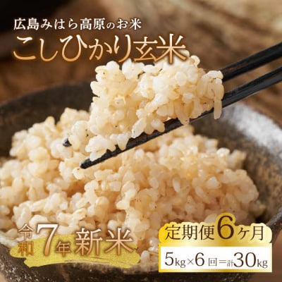 【令和7年新米】みはら高原米 浮城《6か月定期便》コシヒカリ 玄米5kg [220-010]