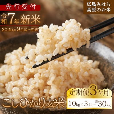 【先行受付】■3か月定期便■ 令和7年新米 コシヒカリ玄米10kg [220-011]
