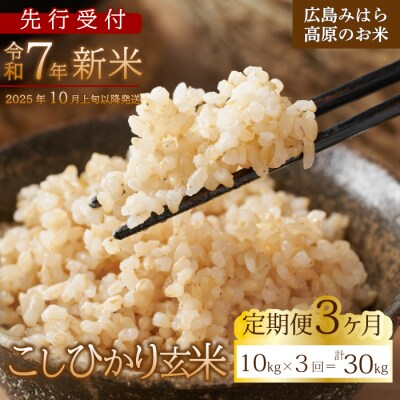 【先行受付】■3か月定期便■ 令和7年新米 コシヒカリ玄米10kg [220-011]