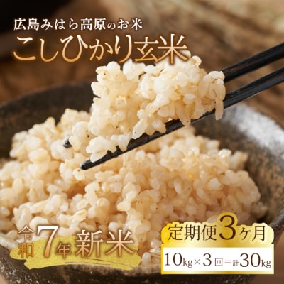 ■3か月定期便■ 令和7年新米 コシヒカリ玄米10kg [220-011]