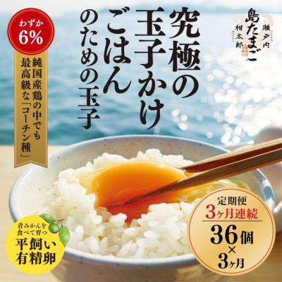 【3ヶ月定期便夏季】『島たまご』平飼い有精36個(34個+割れ補償2個) [017-070]