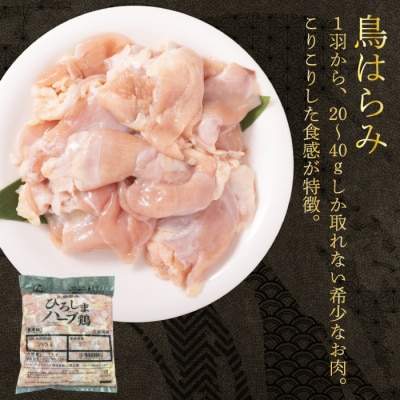 《ひろしまハーブ鶏》鶏肉希少部位ハラミ1kg [214-011]