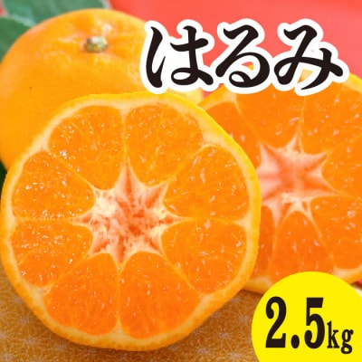 【先行受付】甘くてジューシー!瀬戸内のはるみ 約2.5kg[017-043]