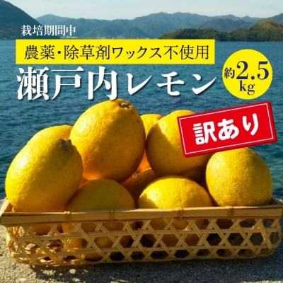 【先行受付】《栽培期間中 農薬・除草剤不使用》佐木島!訳ありレモン 約2.5kg [017-063]