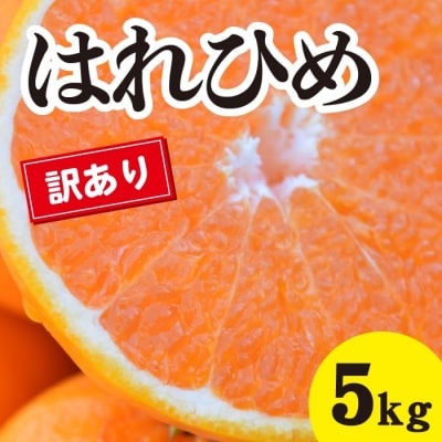 【先行受付】爽やかな香りと甘さに満足! 訳ありはれひめ 約5kg [017-066]
