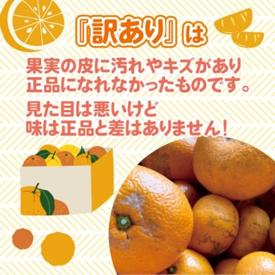 【先行受付】爽やかな香りと甘さに満足! 訳ありはれひめ 約5kg [017-066]