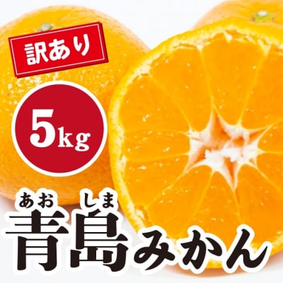 【先行受付】濃厚な甘さが特徴! 訳あり青島みかん 約5kg [017-067]
