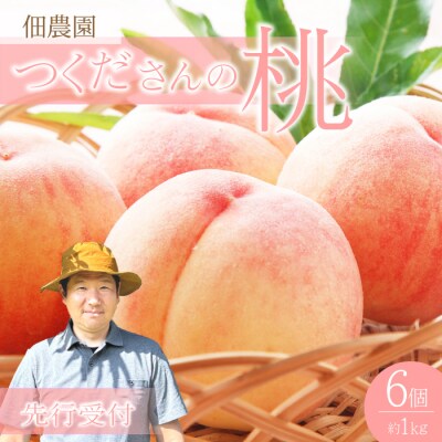 【先行受付】つくださんの桃 6個 約1kg [210-001]