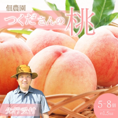 【先行受付】つくださんの桃 5～8個 約1.5kg [210-002]