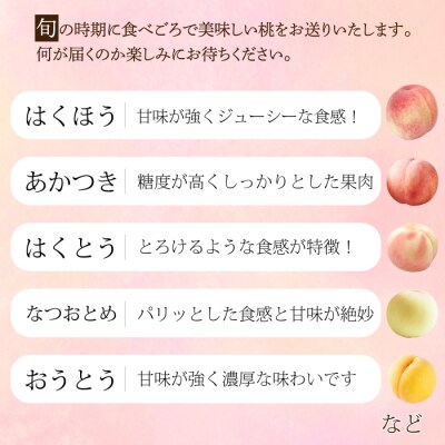 【先行受付】つくださんの桃 5～8個 約1.5kg [210-002]