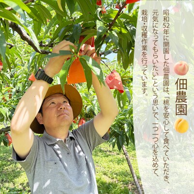 【先行受付】つくださんの桃 5～8個 約1.5kg [210-002]