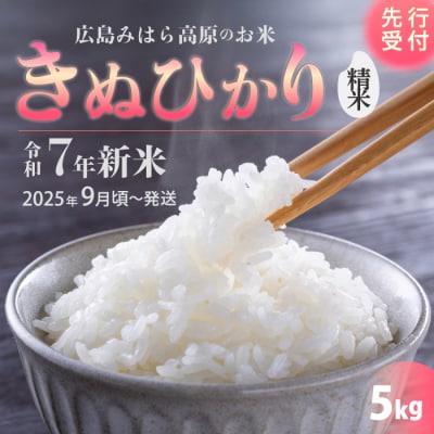 令和7年新米＜先行受付＞きぬひかり 白米(精米)5kg 9月下旬頃～発送[220-013]