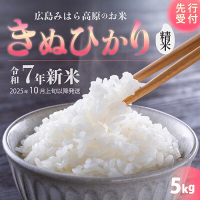 令和7年新米<先行受付>きぬひかり 白米(精米)5kg 10月上旬以降～発送[220-013]