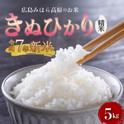 令和7年新米きぬひかり 白米(精米)5kg 11月～順次発送[220-013]
