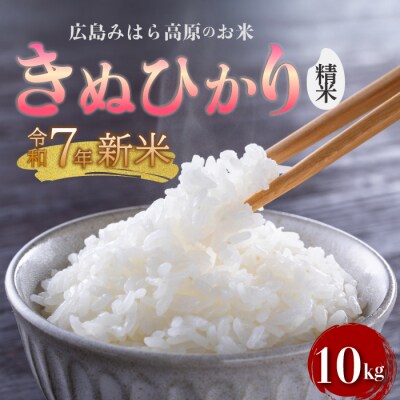 令和7年新米きぬひかり 白米(精米)10kg 11月～順次発送[220-014]