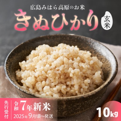 令和7年新米＜先行受付＞きぬひかり 玄米 10kg 9月下旬頃～発送[220-016]