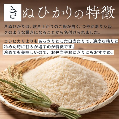 令和7年新米<先行受付>きぬひかり 玄米 10kg 10月上旬以降～発送[220-016]