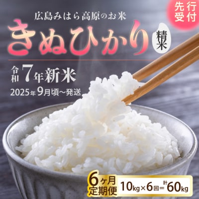 令和7年新米＜先行受付＞【6か月定期便】きぬひかり 精米10kg 9月下旬頃発送[220-020]