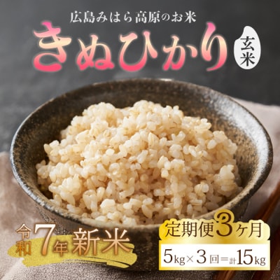 令和7年新米【3か月定期便】きぬひかり 玄米5kg 11月中旬～順次発送[220-021]