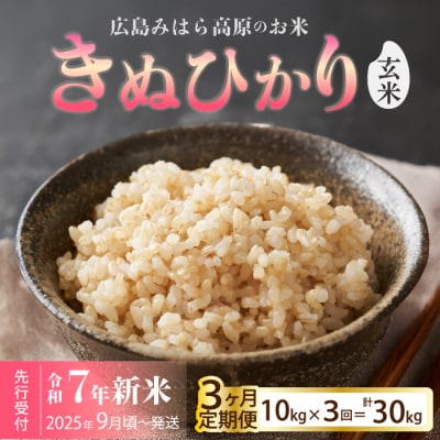 令和7年新米＜先行受付＞【3か月定期便】きぬひかり 玄米10kg 9月下旬頃発送[220-023]