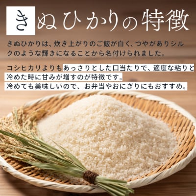 令和7年新米＜先行受付＞【3か月定期便】きぬひかり 玄米10kg 9月下旬頃発送[220-023]