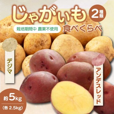 じゃがいも2種食べ比べセット5kg (アンデスレッド・デジマ各2.5kg) [157-004]
