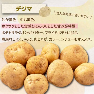 じゃがいも2種食べ比べセット5kg (アンデスレッド・デジマ各2.5kg) [157-004]