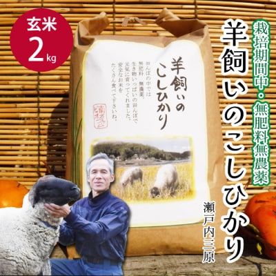 瀬戸内三原 羊飼いのこしひかり 玄米 2kg(栽培期間中無肥料無農薬) [002-009]