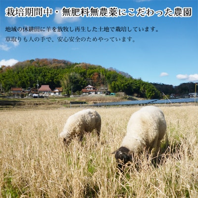 瀬戸内三原 羊飼いのこしひかり 白米 1.8kg(栽培期間中無肥料無農薬) [002-016]