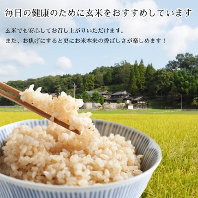 瀬戸内三原 羊飼いのこしひかり 白米10kg(栽培期間中無肥料無農薬) [002-013]