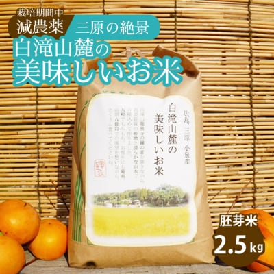 ≪栽培期間中減農薬≫ 三原の絶景白滝山系の美味しいお米 胚芽米 2.5kg[002-007]