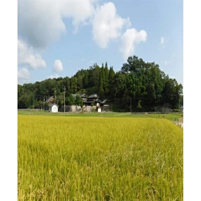 ≪栽培期間中減農薬≫ 三原の絶景白滝山系の美味しいお米 胚芽米 2.5kg[002-007]