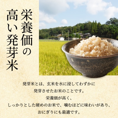 三原の絶景白滝山麓の美味しいお米 胚芽米 3.5kg [002-007]