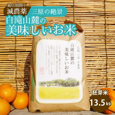 ≪栽培期間中減農薬≫ 三原の絶景白滝山麓の美味しいお米 胚芽米 13.5kg[002-008]