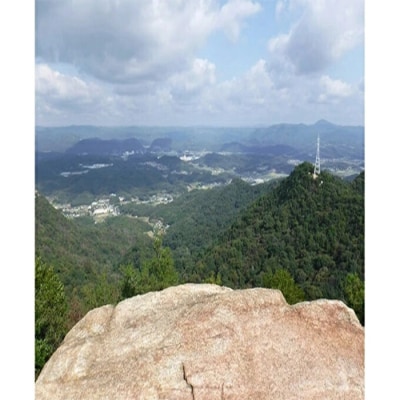 ≪栽培期間中減農薬≫ 三原の絶景白滝山麓の美味しいお米 胚芽米 13.5kg[002-008]