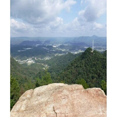 ≪栽培期間中減農薬≫ 三原の絶景白滝山麓の美味しいお米 胚芽米 13.5kg[002-008]