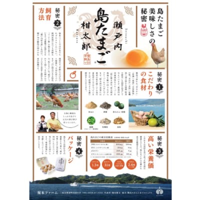 【お試し夏季】瀬戸内柑太郎『島たまご』平飼い有精卵 36個(34個+割れ補償2個)[017-071]